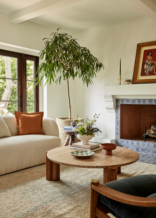 The Trick to Choosing the Perfect Indoor Plant for Every Room in Your Home