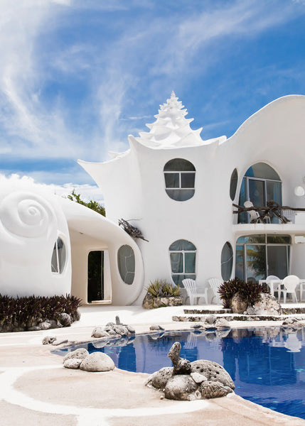 Stay Here: This Seaside Caribbean Airbnb Shows Us What It's Like to Live Inside a Seashell