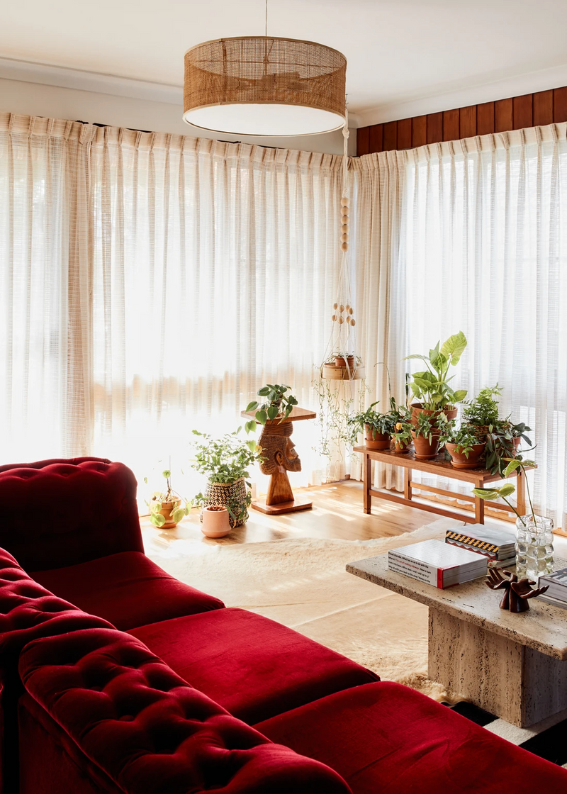 living room with plants and velvet couch