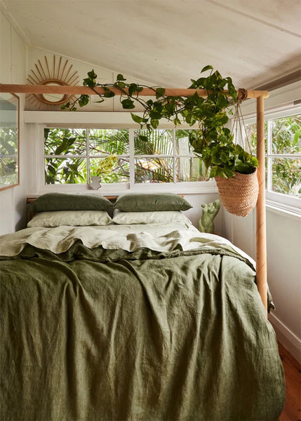 6 Beautiful Indoor Plants to Transform Your Bedroom Into a Sanctuary