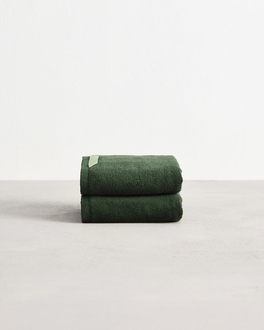 Moss 100% Cotton Terry Hand Towels (Set of Two)