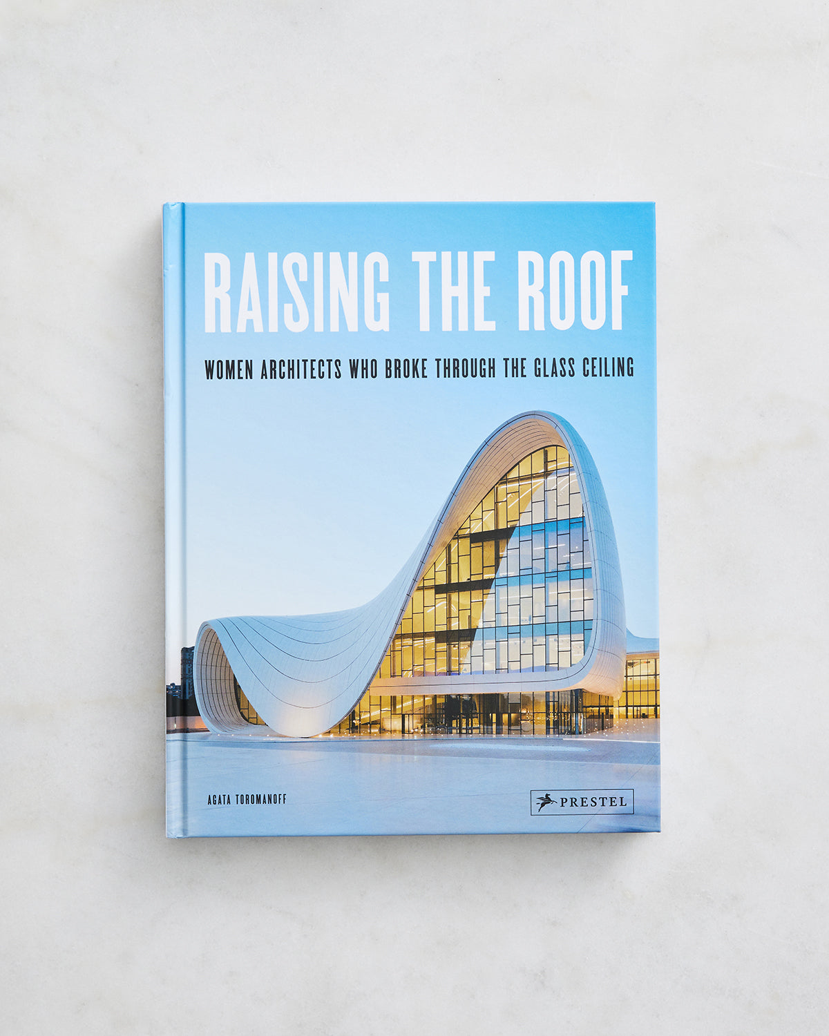 Raising the Roof by Agata Toromanoff